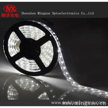 Led Super Bright Waterproof SMD3528 LED Strip Light